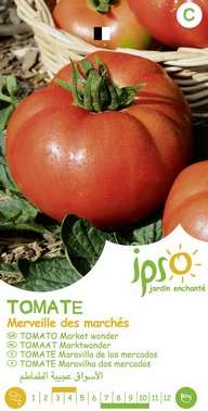 Tomate Ipso